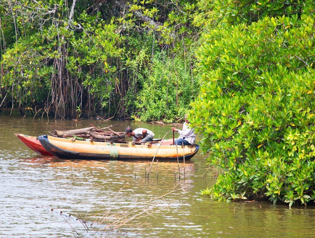 Okvin River Villa Bentota Esterno foto